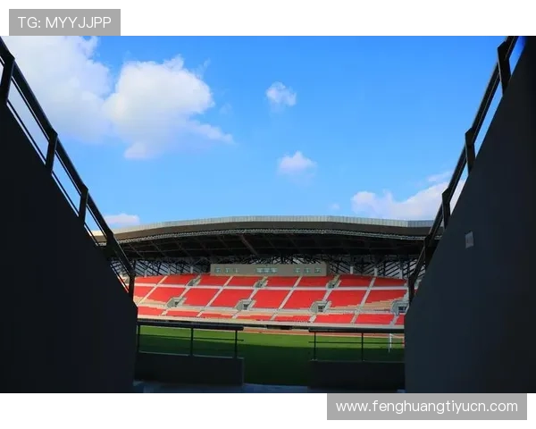 关于b体育中文站的最新动态与发展趋势全面解析体育内容的中文站点发展现状