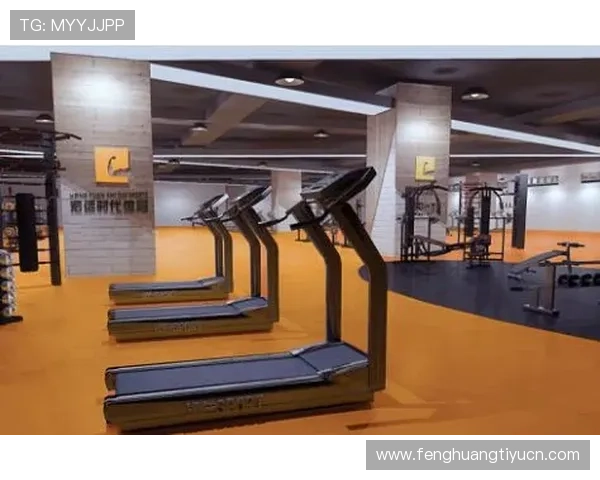 凤凰体育打造全民健身平台助力用户科学锻炼提升身体素质