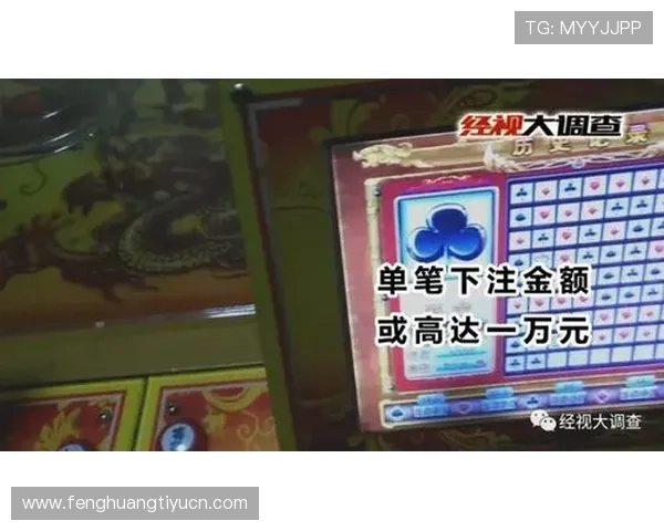 极速百家乐技巧攻略，专业玩家分享提升游戏速度与赢率的实用方法与实战经验