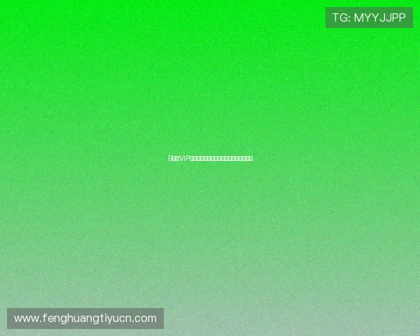 B体育VIP专属赛事优先观看权与参与资格详细介绍